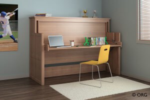 Twin Murphy Bed