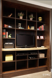 Entertainment Wall Unit