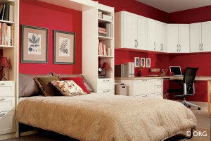 Queen Murphy Bed